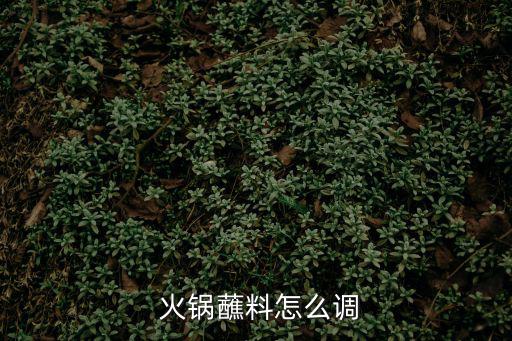  火鍋蘸料怎么調(diào)