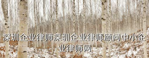 廣東法律服務網，法律服務
