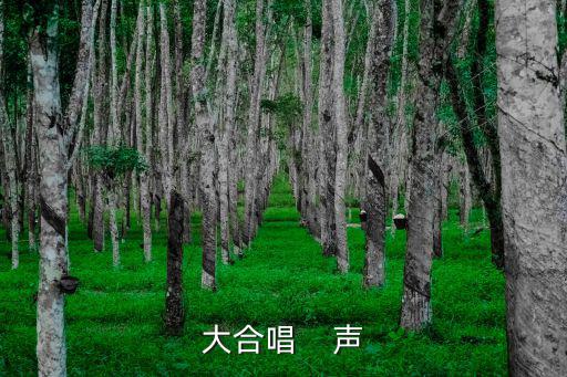 大合唱，大合唱歌曲