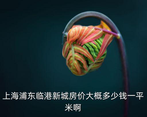 上海臨港新城新開(kāi)盤(pán)樓盤(pán)價(jià)格走勢(shì)，上海新房?jī)r(jià)