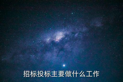 招標(biāo)投標(biāo)主要做什么工作