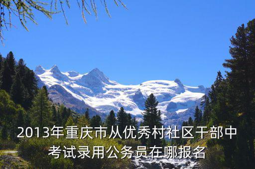 2013年重慶市從優秀村社區干部中考試錄用公務員在哪報名