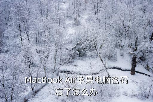 MacBook Air蘋果電腦密碼忘了怎么辦