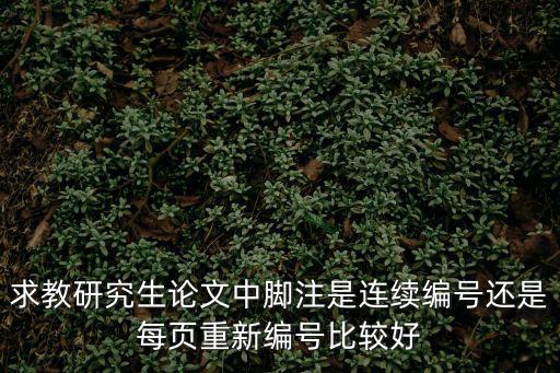 求教研究生論文中腳注是連續編號還是每頁重新編號比較好