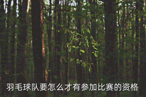 羽毛球隊要怎么才有參加比賽的資格