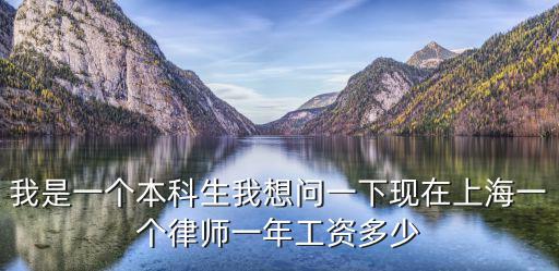 我是一個本科生我想問一下現(xiàn)在上海一個律師一年工資多少