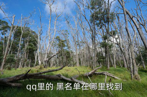  qq里的 黑名單在哪里找到