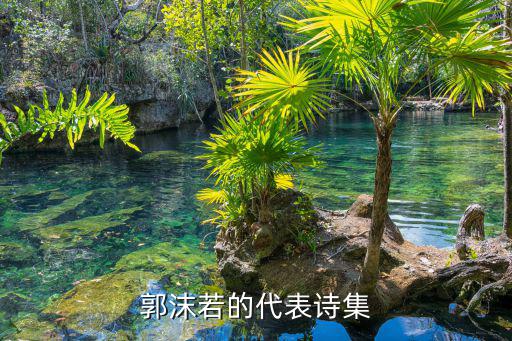郭沫若的代表詩(shī)集