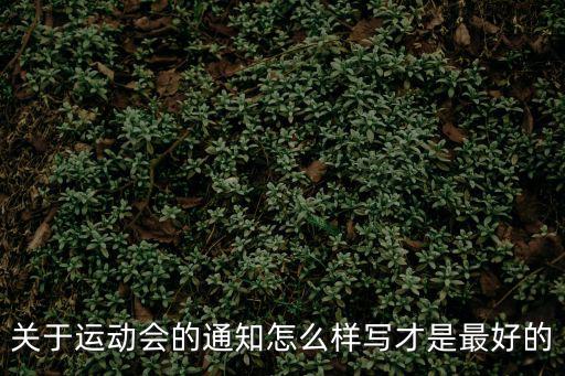 關(guān)于運(yùn)動(dòng)會(huì)的通知怎么樣寫(xiě)才是最好的