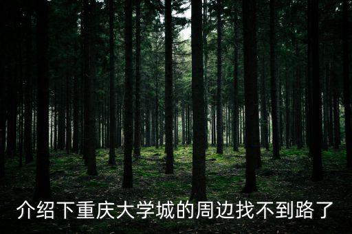 介紹下重慶大學城的周邊找不到路了