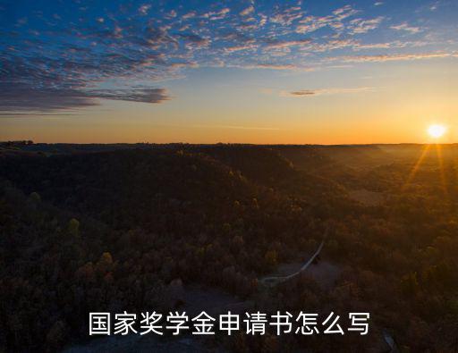 國家獎學金申請表，國家獎學金申請書怎么寫