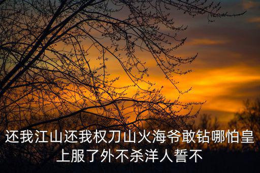 還我江山還我權(quán)刀山火海爺敢鉆哪怕皇上服了外不殺洋人誓不