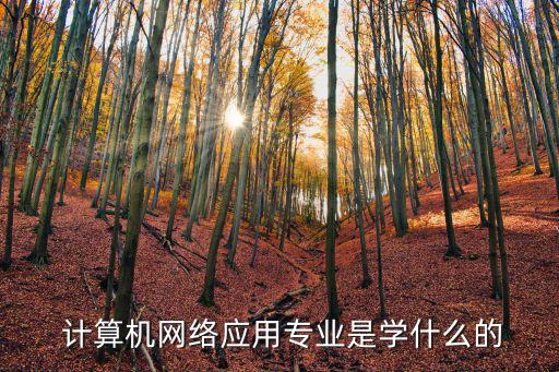 計(jì)算機(jī)網(wǎng)絡(luò)應(yīng)用,培養(yǎng)高級計(jì)算機(jī)應(yīng)用人才專業(yè)開設(shè)八門課程