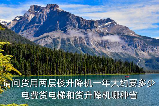 請問貨用兩層樓升降機一年大約要多少電費貨電梯和貨升降機哪種省