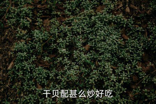 干貝配甚么炒好吃