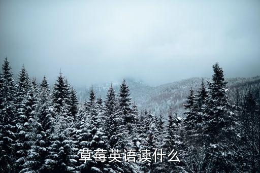 草莓英語讀什么