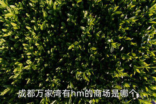 成都萬家灣有hm的商場(chǎng)是哪個(gè)