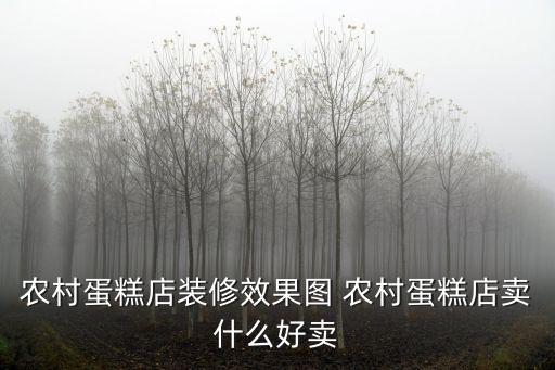 農村蛋糕店裝修效果圖 農村蛋糕店賣什么好賣