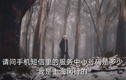 請問手機短信里的服務中心號碼是多少我是上海閔行的