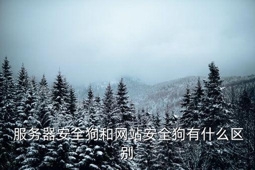  服務(wù)器安全狗和網(wǎng)站安全狗有什么區(qū)別