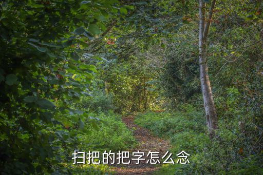把的讀音，竹字頭的下面一個把字 念什么