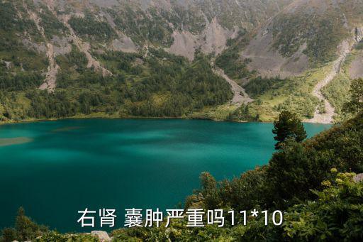 右腎 囊腫嚴重嗎11*10