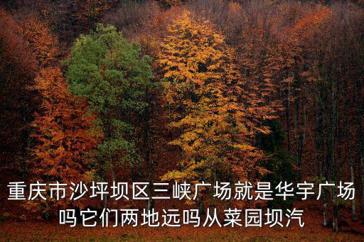 重慶市沙坪壩區三峽廣場就是華宇廣場嗎它們兩地遠嗎從菜園壩汽