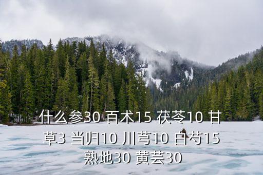 什么參30 百術15 茯苓10 甘草3 當歸10 川芎10 白芍15 熟地30 黃蕓30