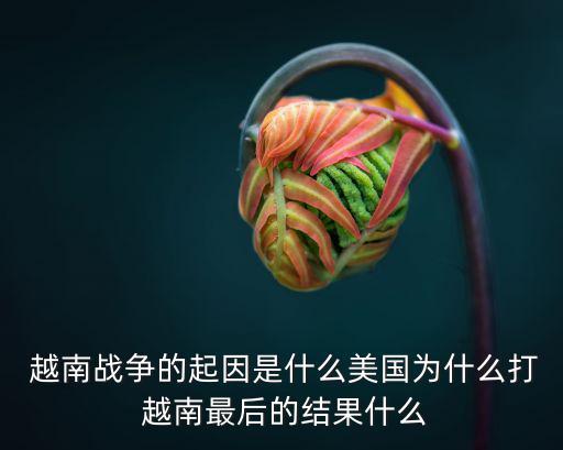 美國打越南的原因,美國參與越南失敗的原因:冷戰思維導致