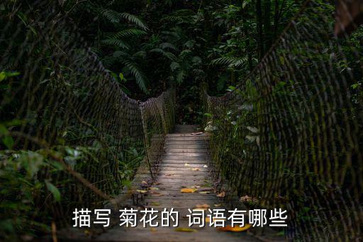 描寫 菊花的 詞語有哪些