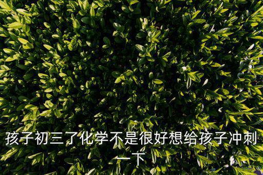 孩子初三了化學不是很好想給孩子沖刺一下