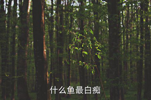 什么魚最白癡