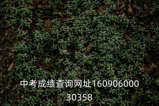 重慶市中考成績查詢?nèi)肟?021，中考成績查詢網(wǎng)址16090600030358