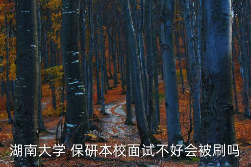 湖南大學 保研本校面試不好會被刷嗎