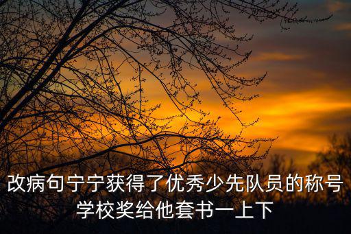 改病句寧寧獲得了優秀少先隊員的稱號學校獎給他套書一上下