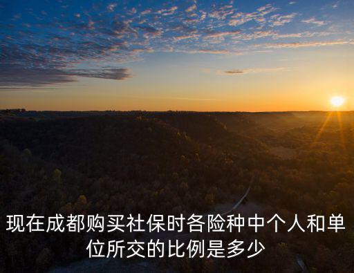 現在成都購買社保時各險種中個人和單位所交的比例是多少