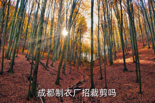 成都制衣廠招裁剪嗎
