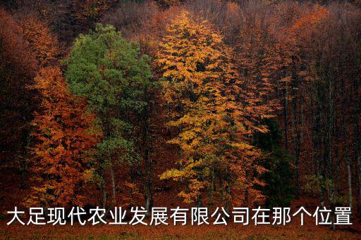 大足現代農業發展有限公司在那個位置