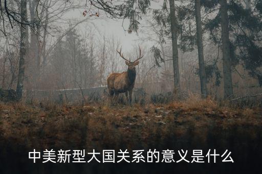 中美新型大國關系，中美新型大國關系的意義是什么