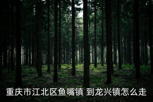 重慶市江北區魚嘴鎮 到龍興鎮怎么走