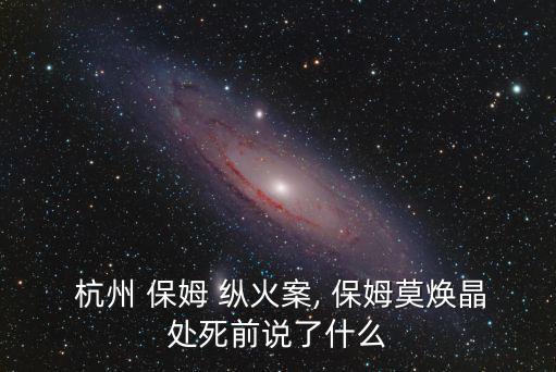  杭州 保姆 縱火案, 保姆莫煥晶處死前說了什么