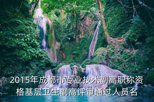 2015年成都市專業(yè)技術(shù)副高職稱資格基層衛(wèi)生副高評審?fù)ㄟ^人員名