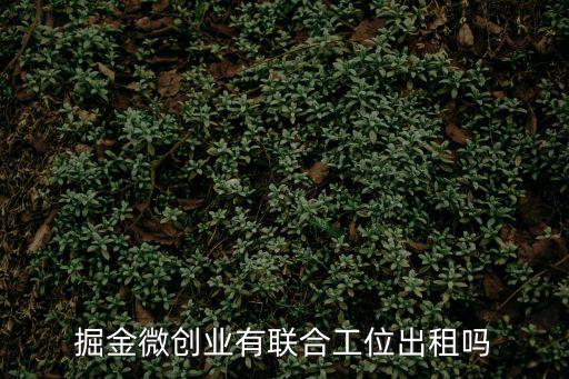 掘金微創業有聯合工位出租嗎