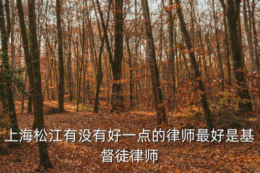 上海松江有沒(méi)有好一點(diǎn)的律師最好是基督徒律師