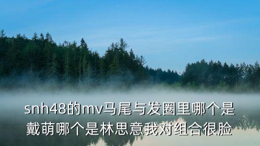 snh48的mv馬尾與發圈里哪個是戴萌哪個是林思意我對組合很臉