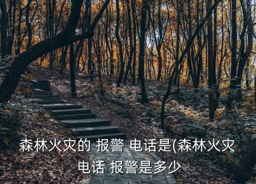 森林火災的 報警 電話是(森林火災 電話 報警是多少