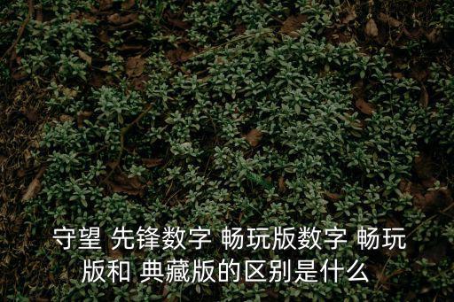  守望 先鋒數字 暢玩版數字 暢玩版和 典藏版的區別是什么