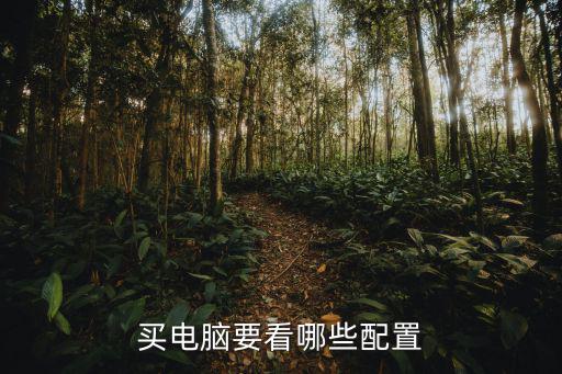 買電腦主要看哪些配置，選購電腦時應該看哪些配置參數