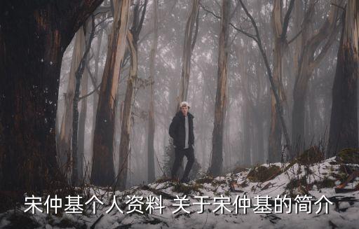 宋仲基個人資料 關于宋仲基的簡介