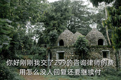 你好剛剛我交了299的咨詢律師的費(fèi)用怎么沒人回復(fù)還要繼續(xù)付
